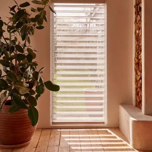 Hunter Douglas Silhouette Sheer Shades filtering light beside an indoor plant