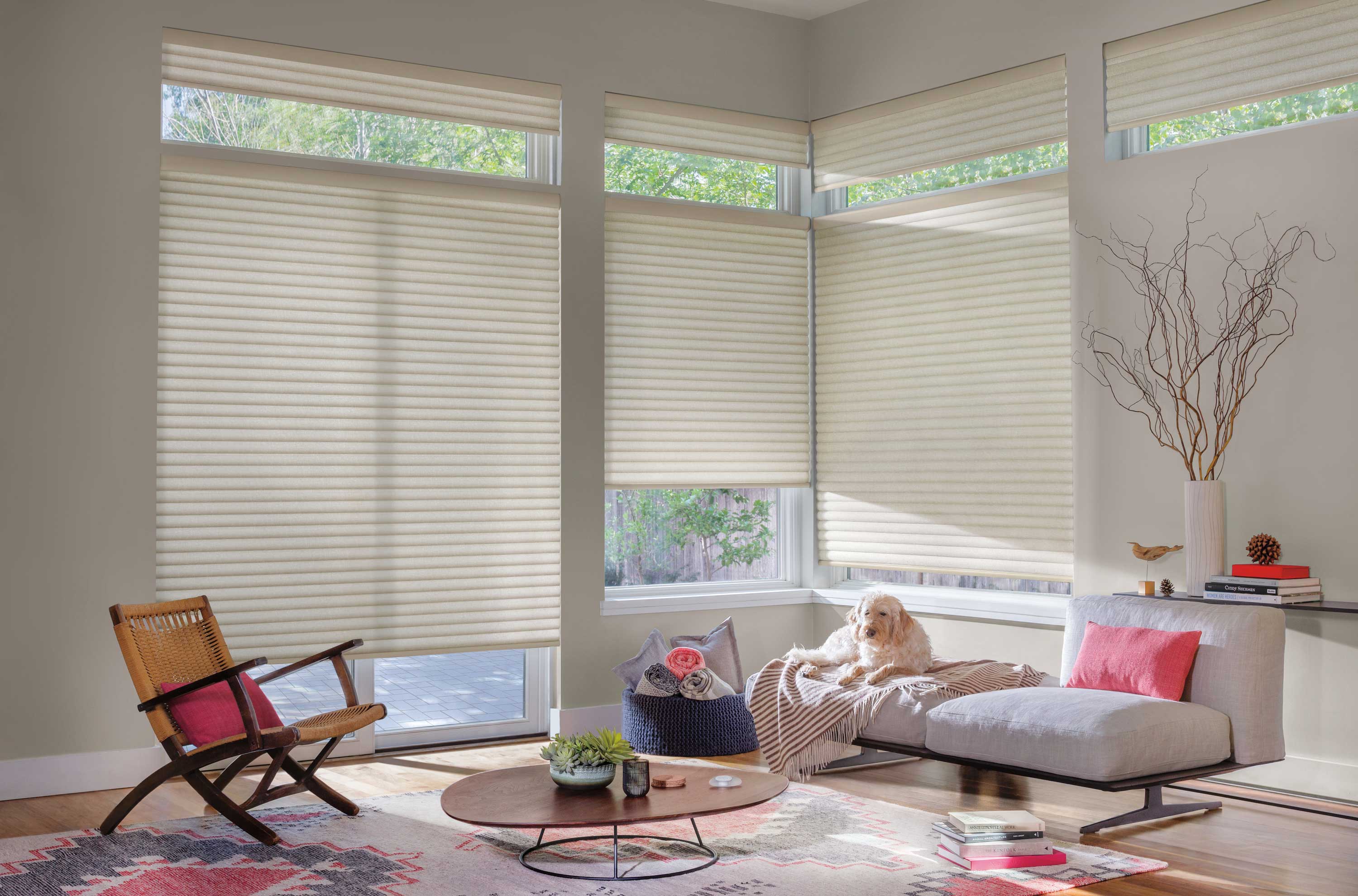 Cellular honeycomb shades in a cozy corner living room filtering soft natural light through cordless pleated fabric